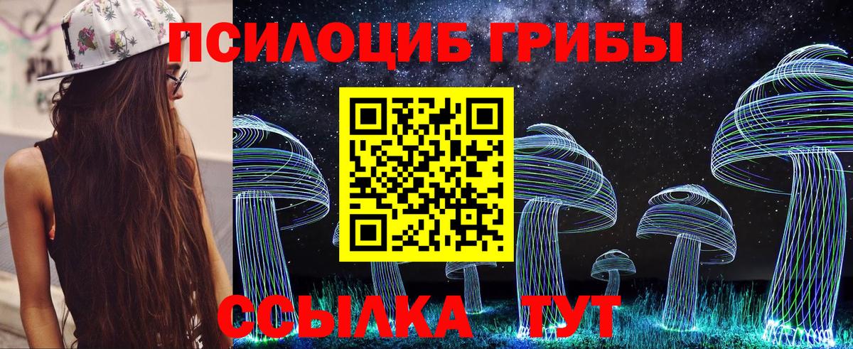 Псилоцибиновые грибы Magic Shrooms Вичуга