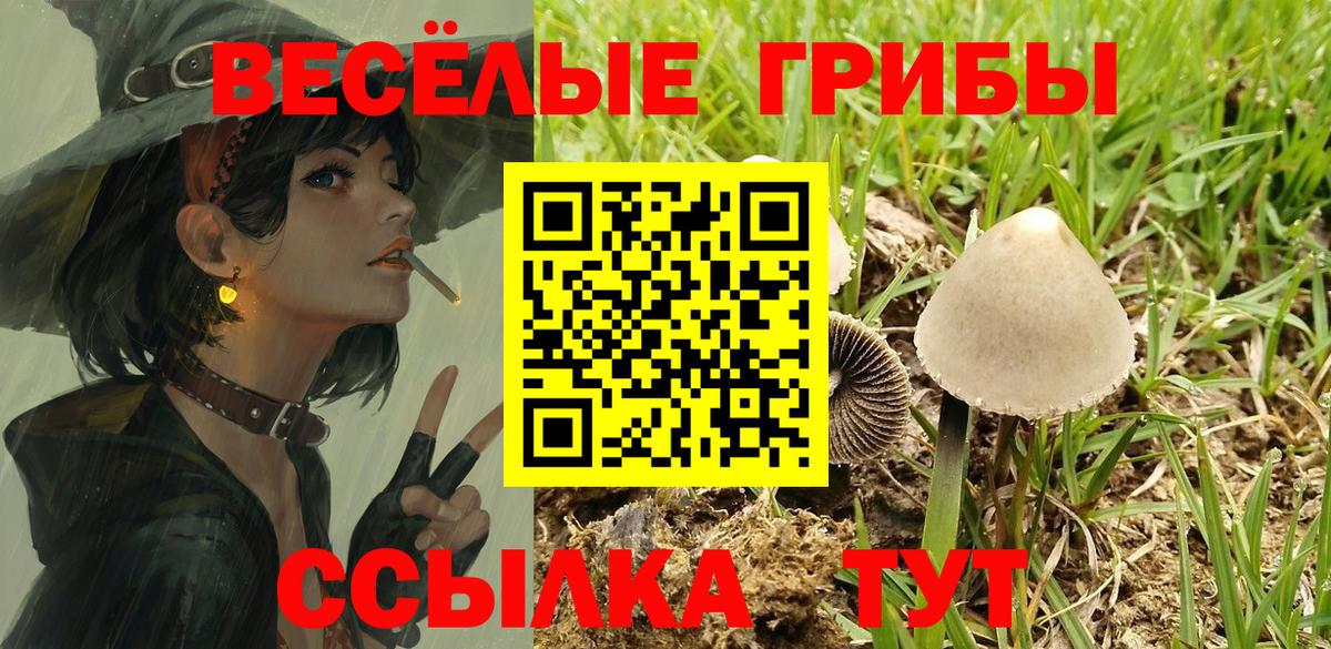 Вичуга  купить наркотики цена  Вход с VPN  Галлюциногенные грибы Cubensis 